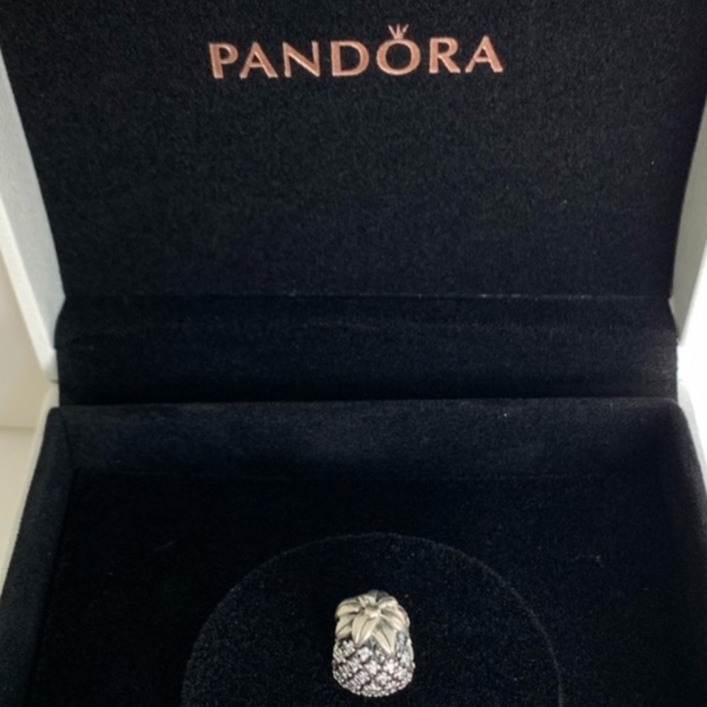 Pineapple pandora charm